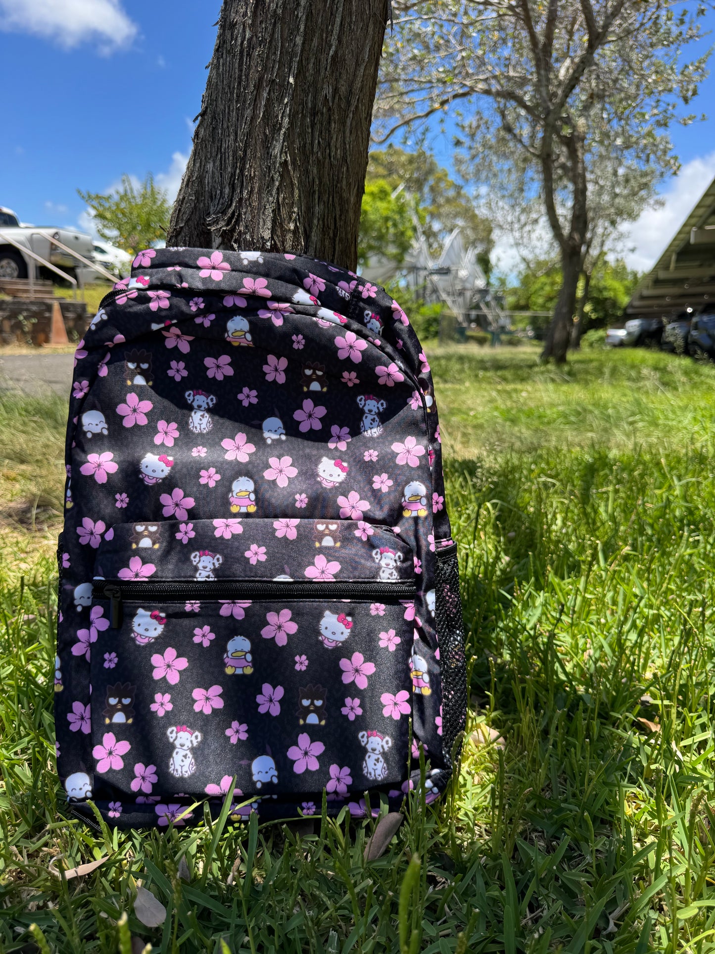 Back to School Backpacks