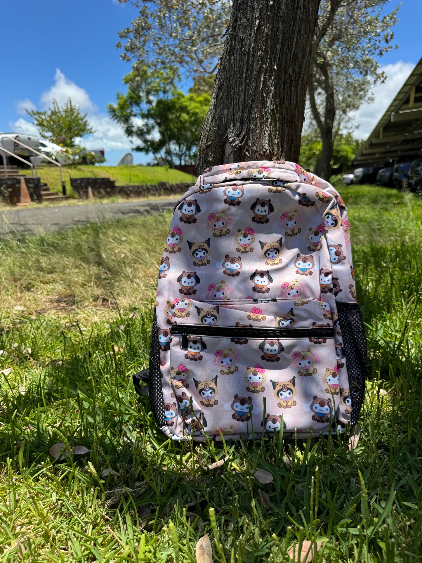 Back to School Backpacks