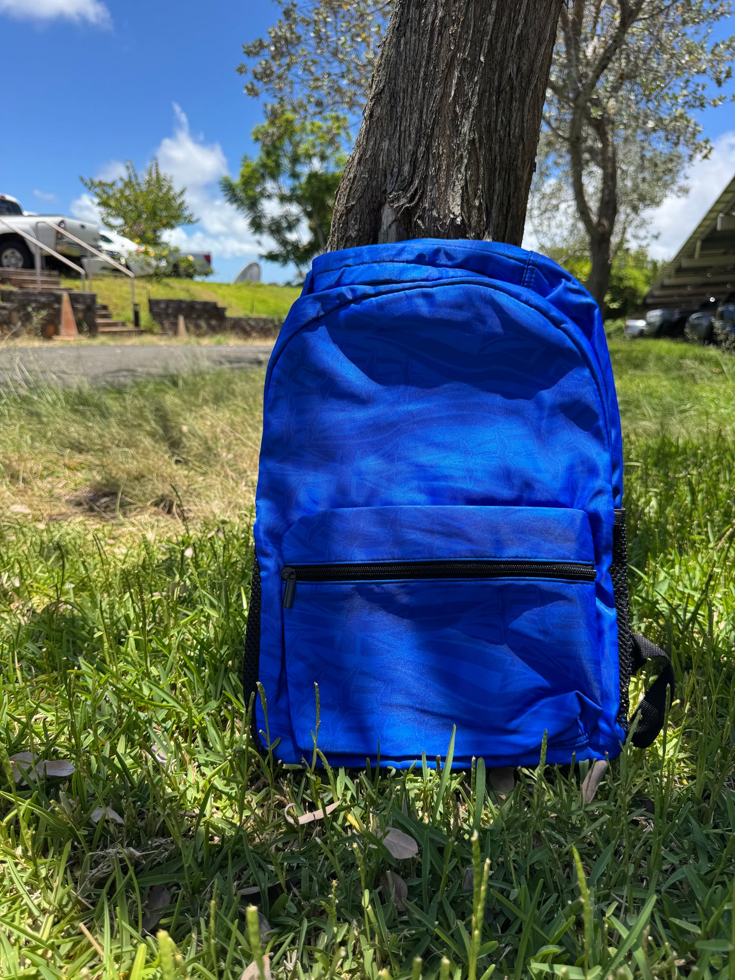 Back to School Backpacks