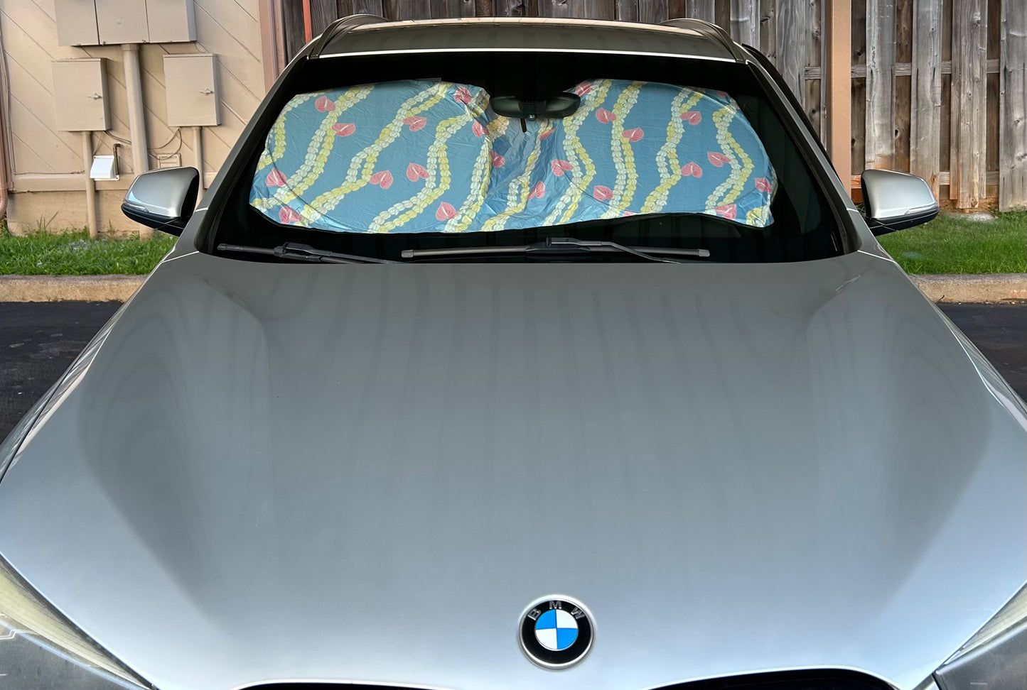 Car Shades *fits most cars*