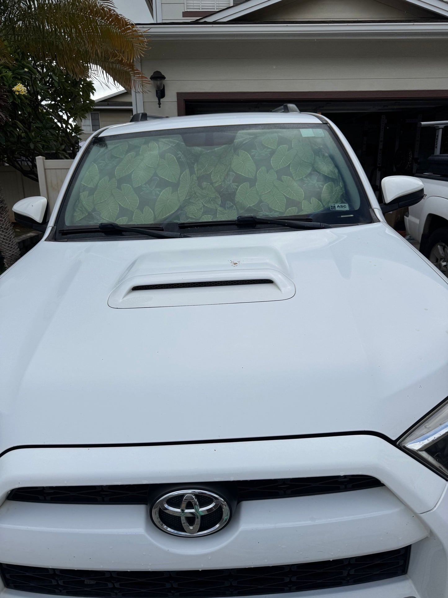 Car Shades *fits most cars*