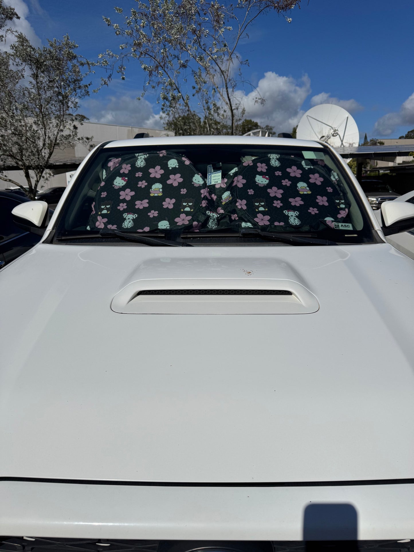 Car Shades *fits most cars*